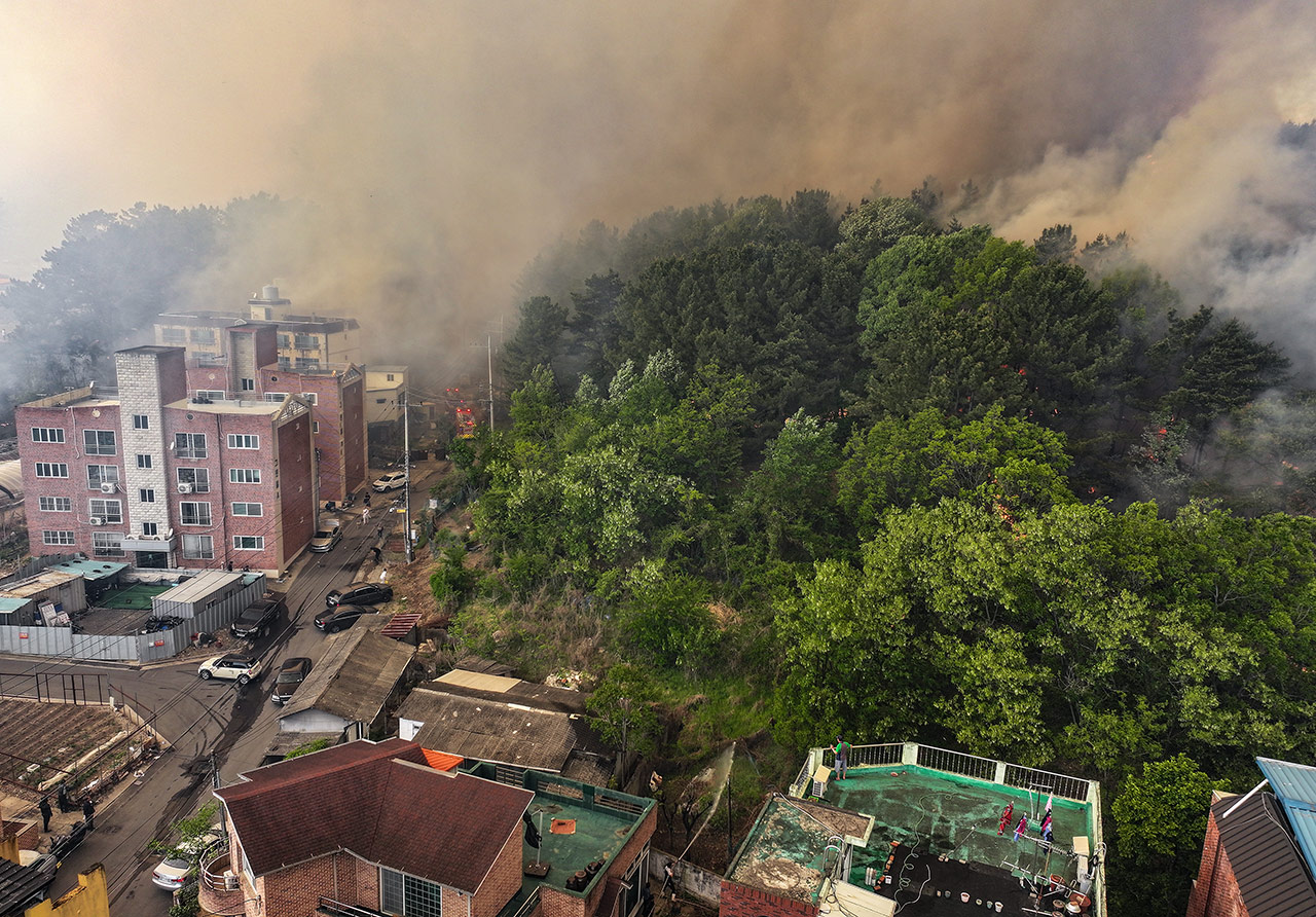 대구 함지산 산불 피해 복구