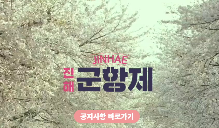 진해군항제 벚꽃축제