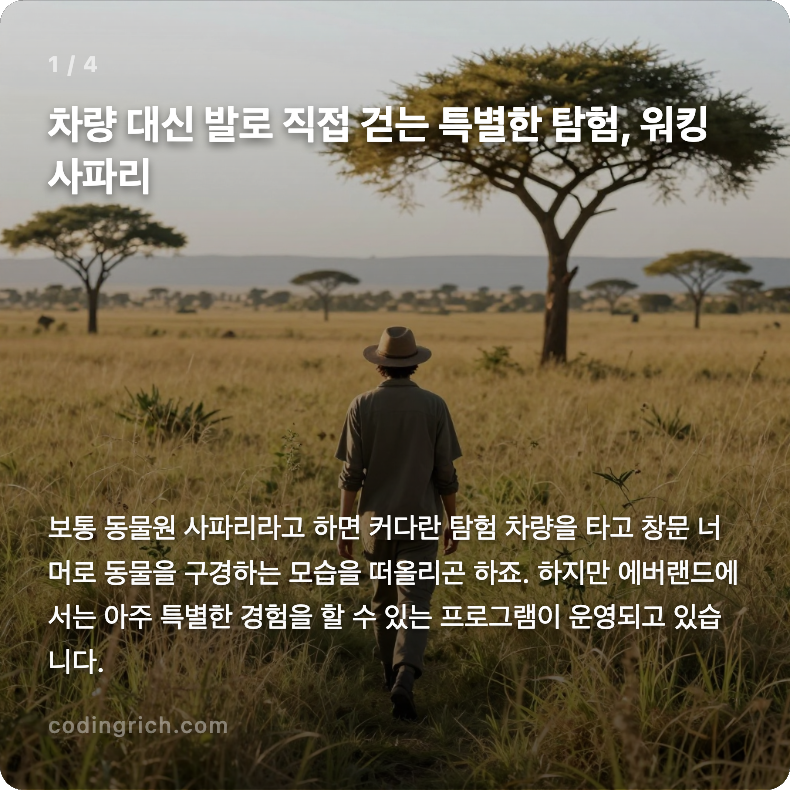 아이와 함께 가기 좋은 이색 데이트 코스! 워킹 사파리의 모든 것